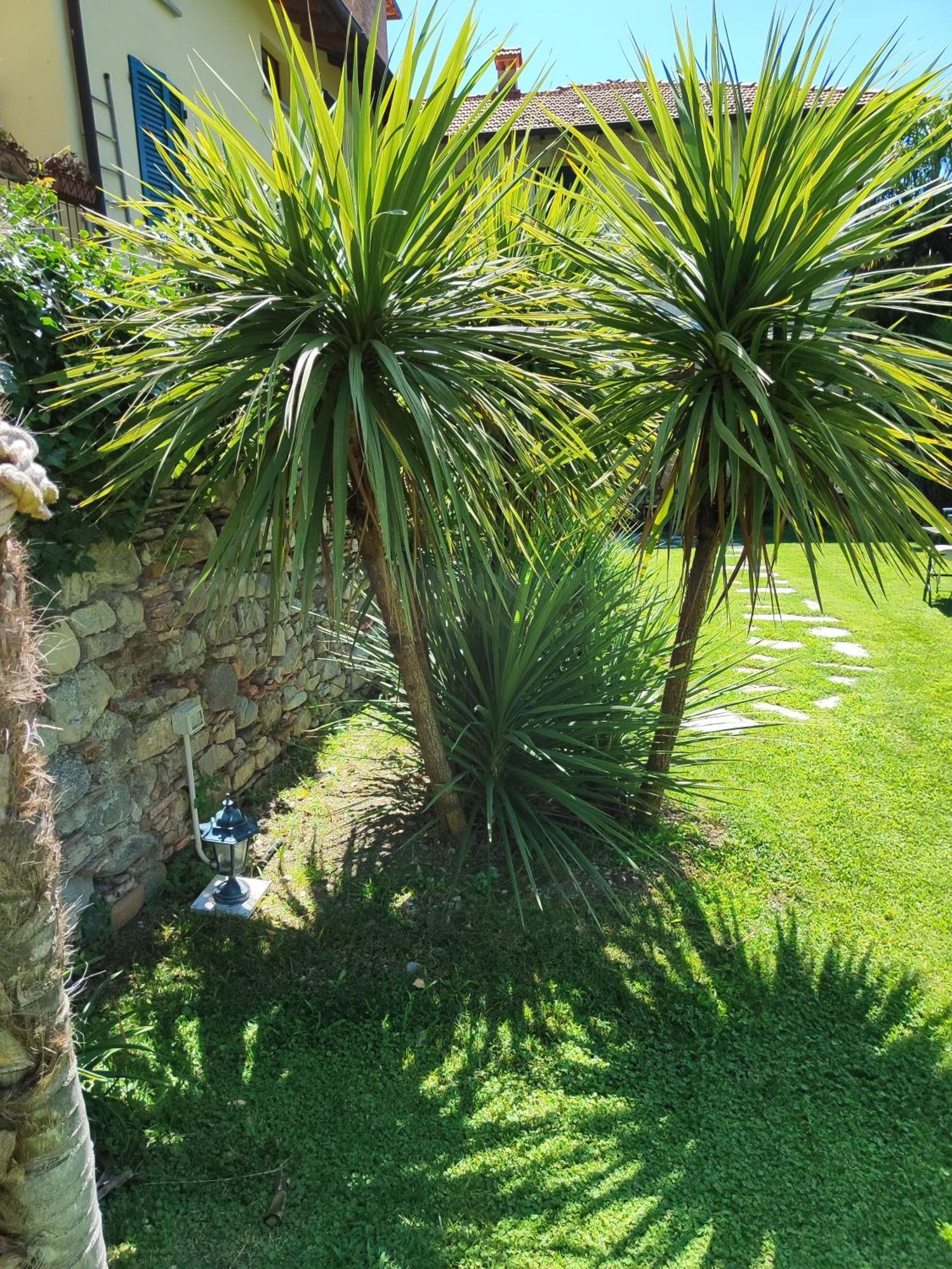 Casa Lumaca Bed and Breakfast Tremezzo Εξωτερικό φωτογραφία
